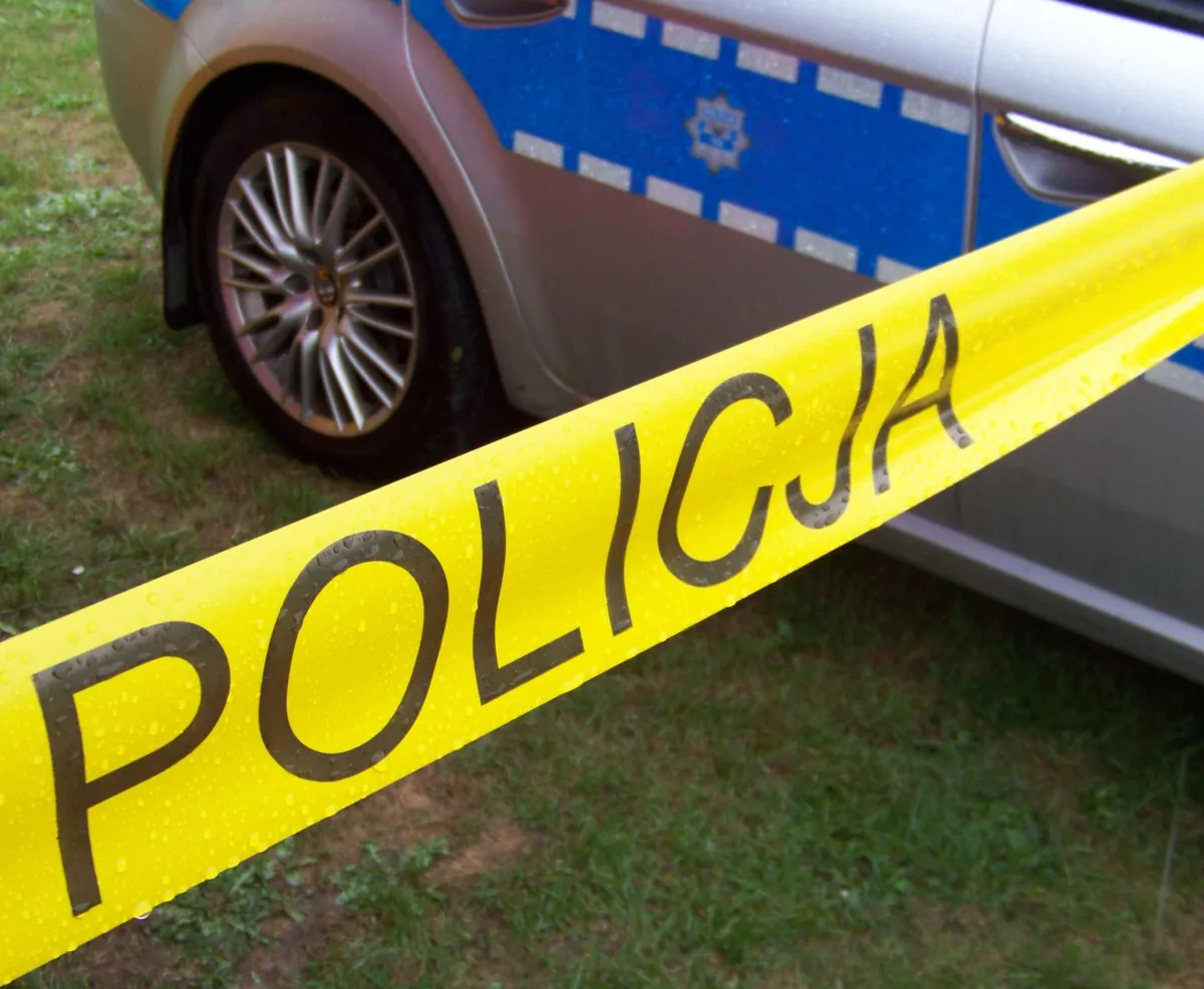 Sądecczyzna: tragiczny wypadek podczas załadunku drewna