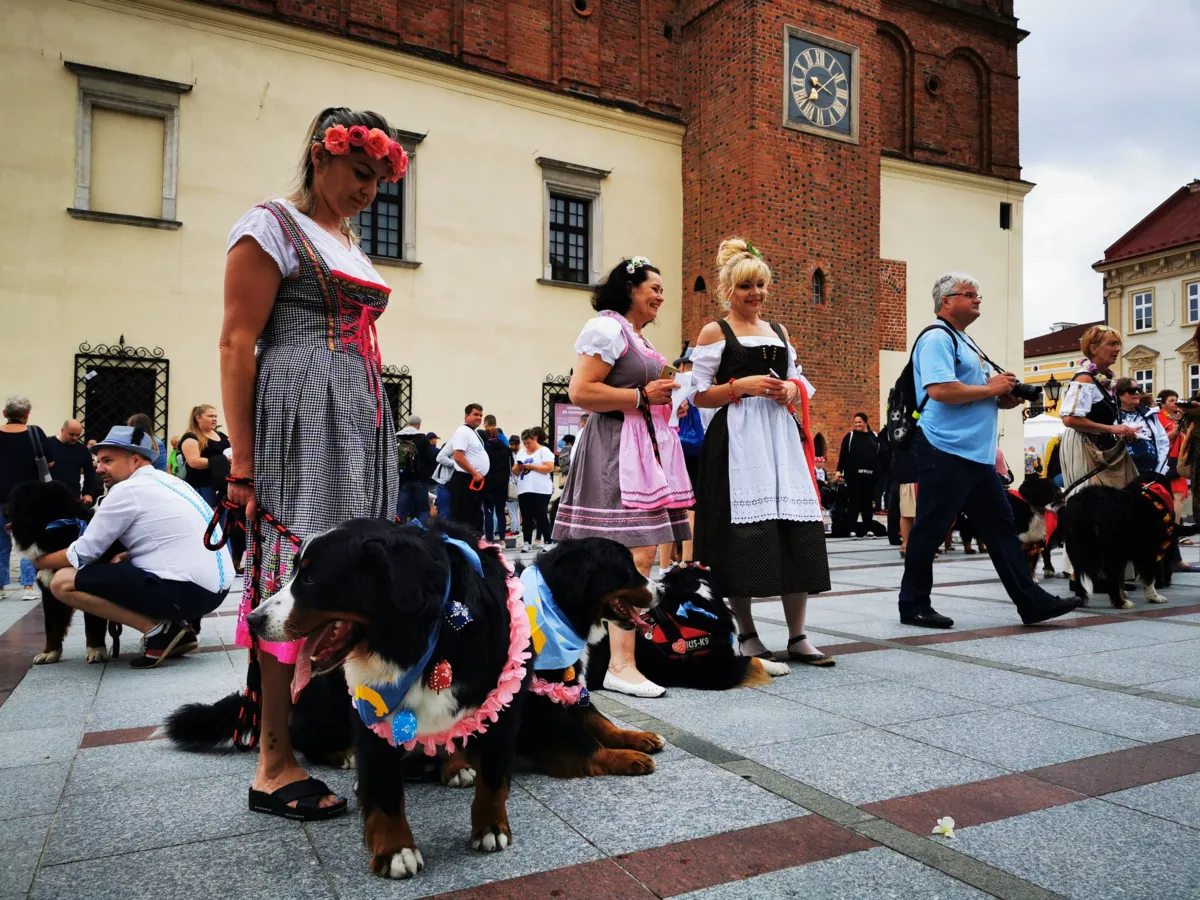 "Tarnów w tricolorze" - VIII Tarnowski Zjazd Berneńczyków 