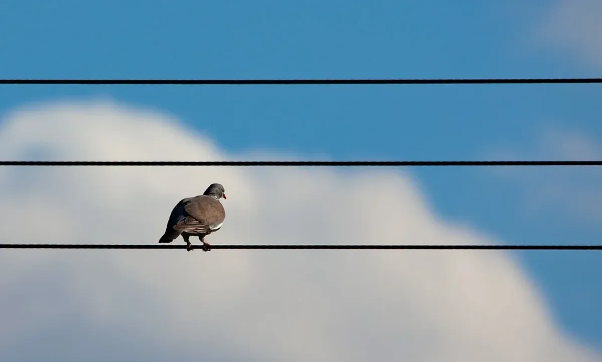 Kraków korzysta z energii odnawialnej