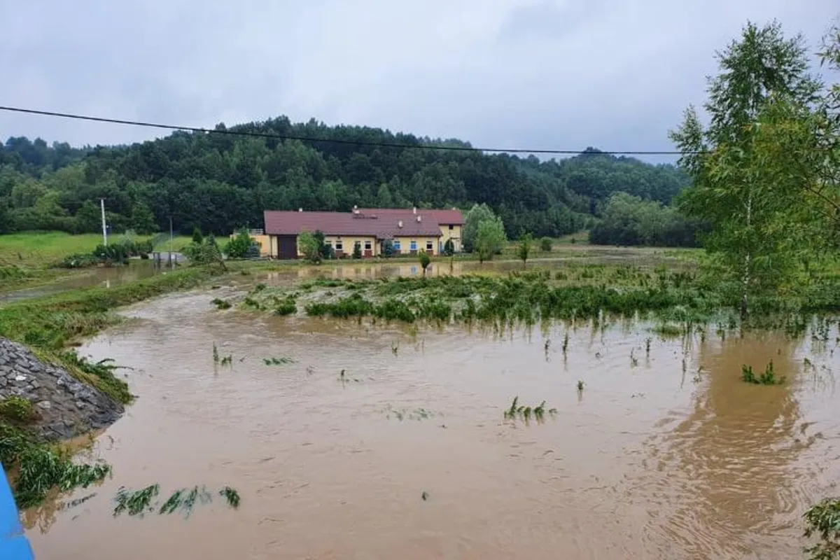 Zalane Krzyszkowice