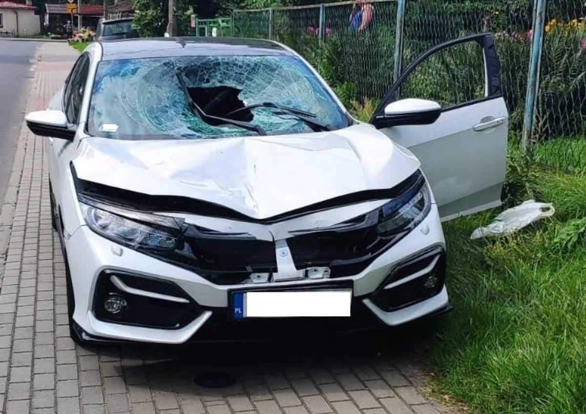 Pijany kierowca, bez prawa jazdy, śmiertelnie potrącił pieszego i uciekł z miejsca wypadku