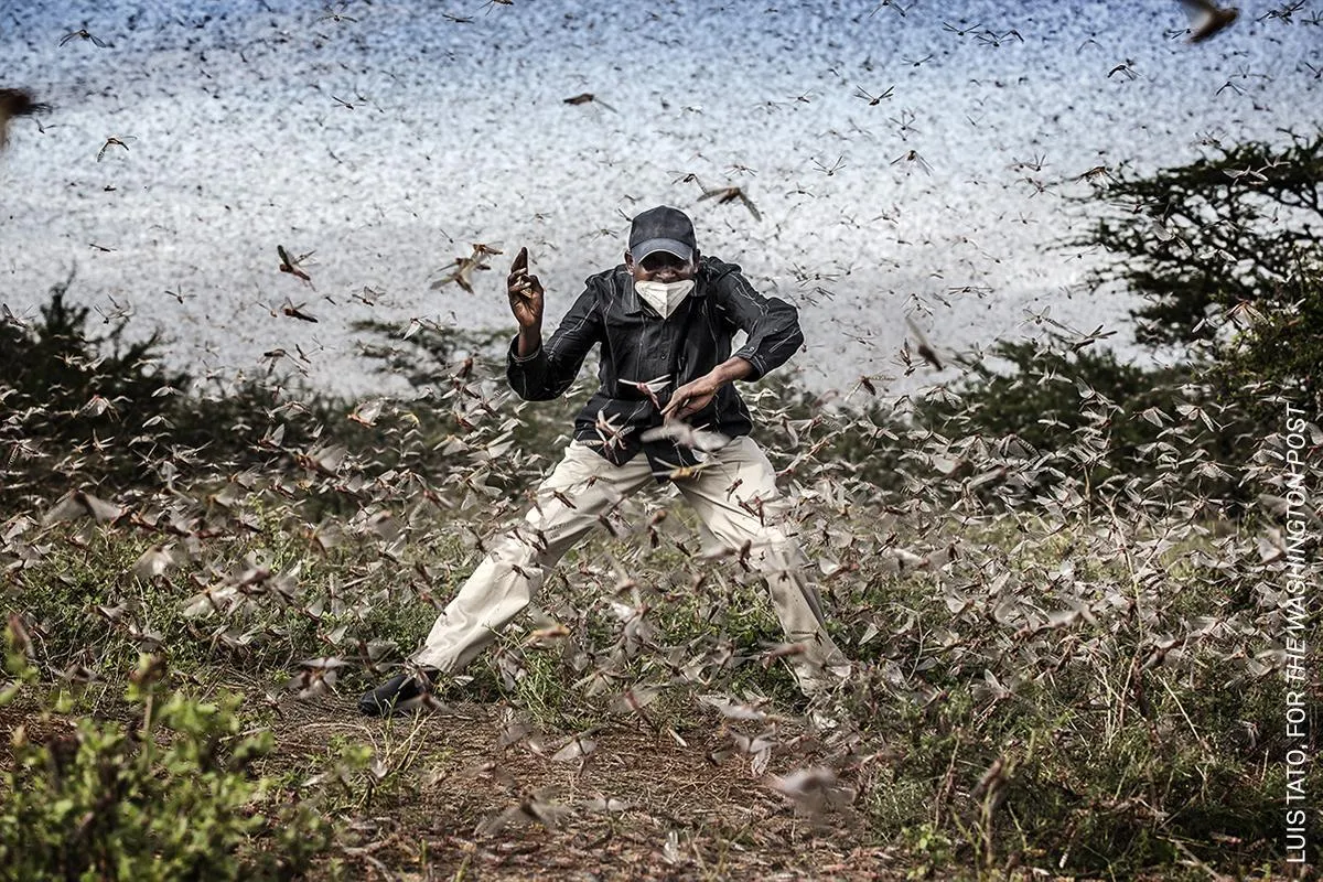 WORLD PRESS PHOTO – 64. edycja 