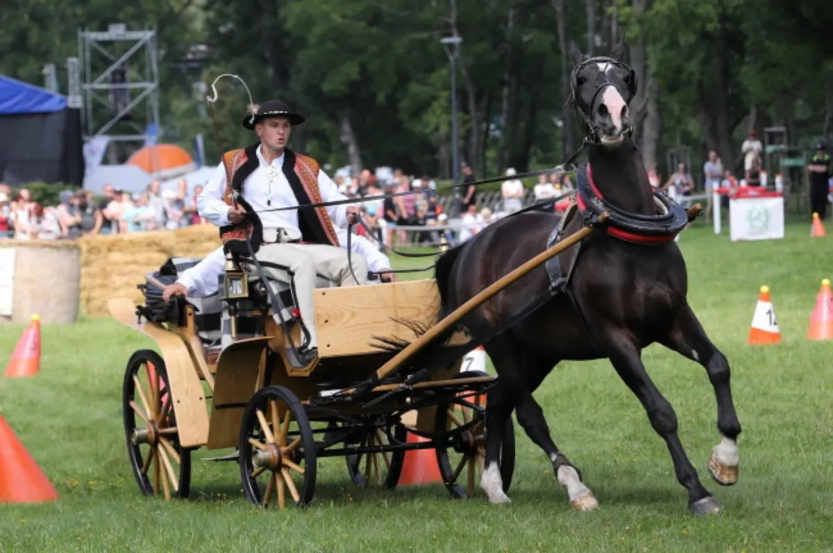  52. Międzynarodowy Festiwal Folkloru Ziem Górskich
