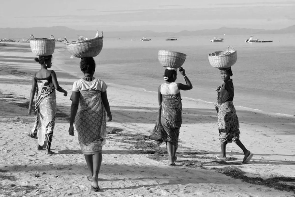 REGINA LIPECKA-BOCHEŃSKA „Madagaskar – wyspy wyobraźni”