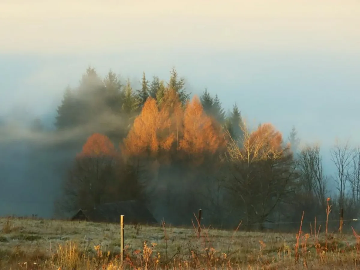 Mroźne poranki w fotografii Artura Królikowskiego
