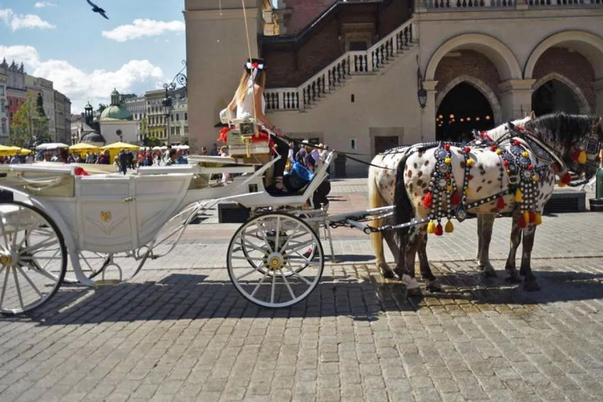 Kraków bez dorożek? Projekt obywatelski będzie procedowany