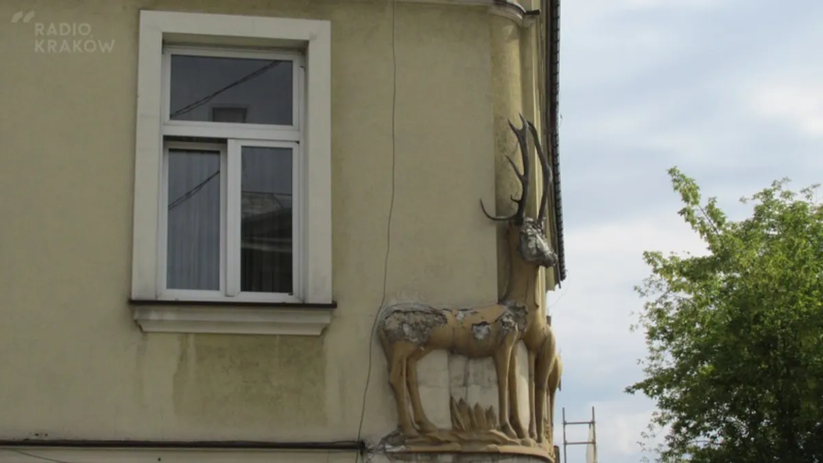 Jeleń z Rynku Podgórskiego, fot. Kinga Kalita