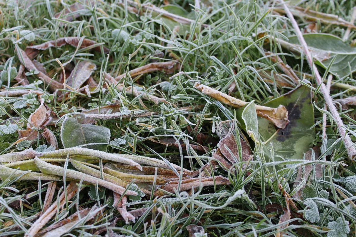 Synoptyk IMGW: na wschodzie pierwsze oznaki kilkudniowego ochłodzenia