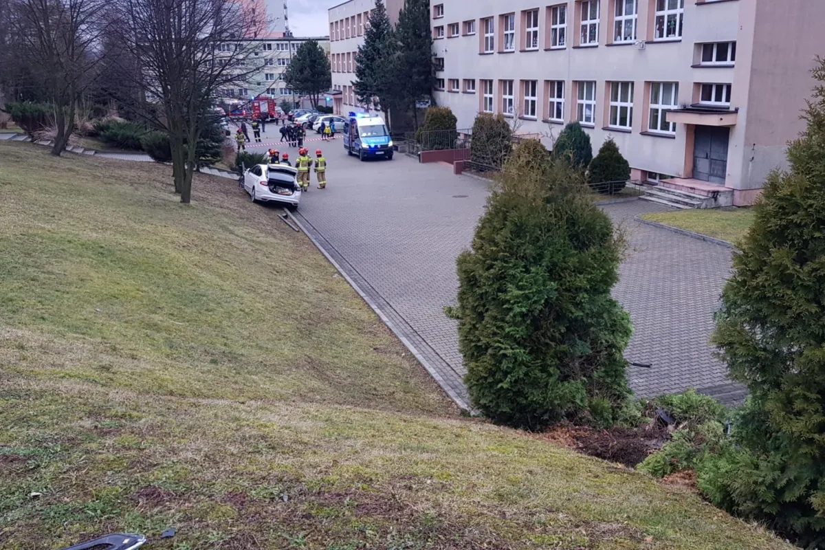 Tarnowska policja wyjaśnia okoliczności nietypowej kolizji samochodowej
