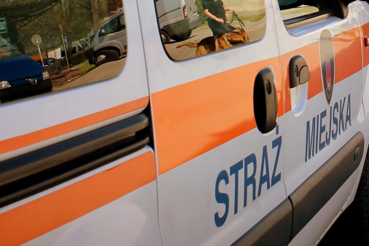 Kraków: źle zaparkował samochód i próbował ukryć brak uprawnień do kierowania