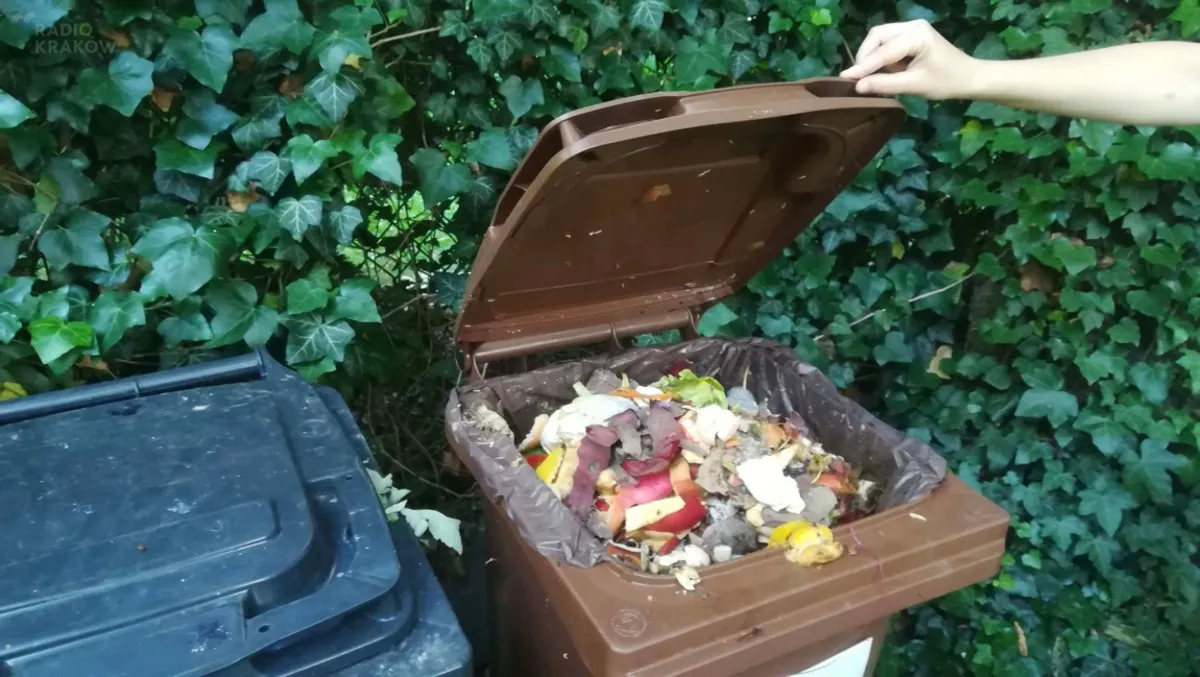 Mieszkańcy okolic Nowego Kleparza w Krakowie zgłaszają problem z odbiorem bioodpadów
