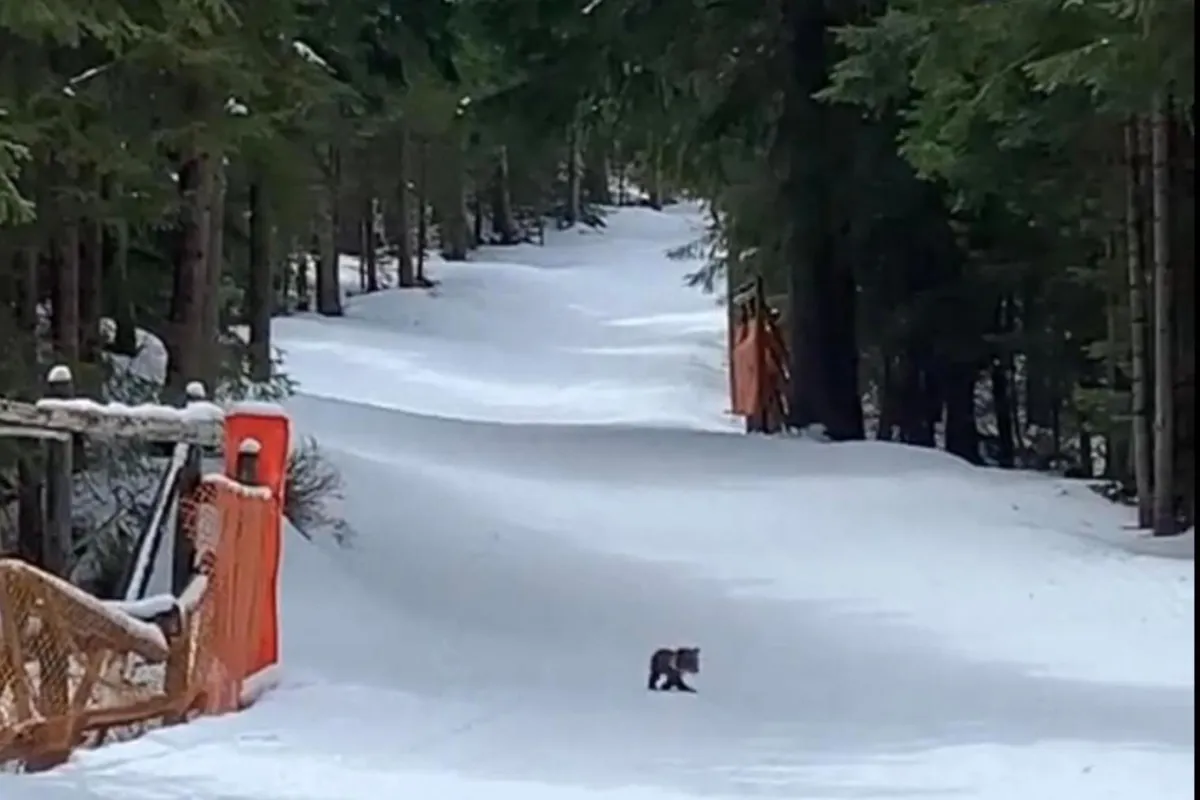 Tatry: znów można wędrować szlakiem w rejonie Doliny Pańszczycy, ale niektóre szlaki są dalej zamknięte