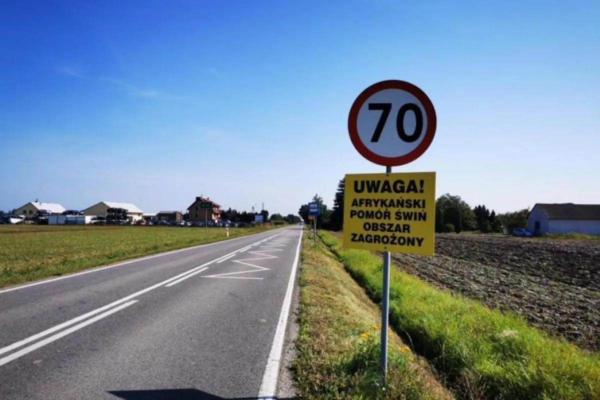 Na Sądecczyźnie trwają kontrole po odkryciu dzika z ASF