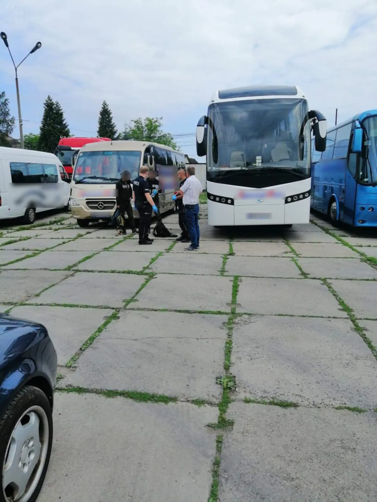 Dwaj Algierczycy i Syryjczyk ukryci pod podwoziem autokaru dotarli do Polski