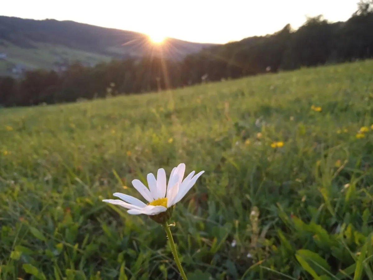 Rozpoczęło się astronomiczne lato