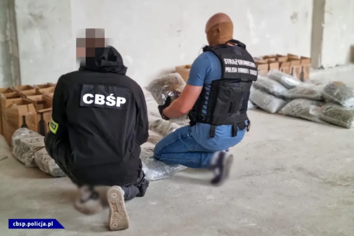 Marihuana ukryta w transporcie hiszpańskiego wina