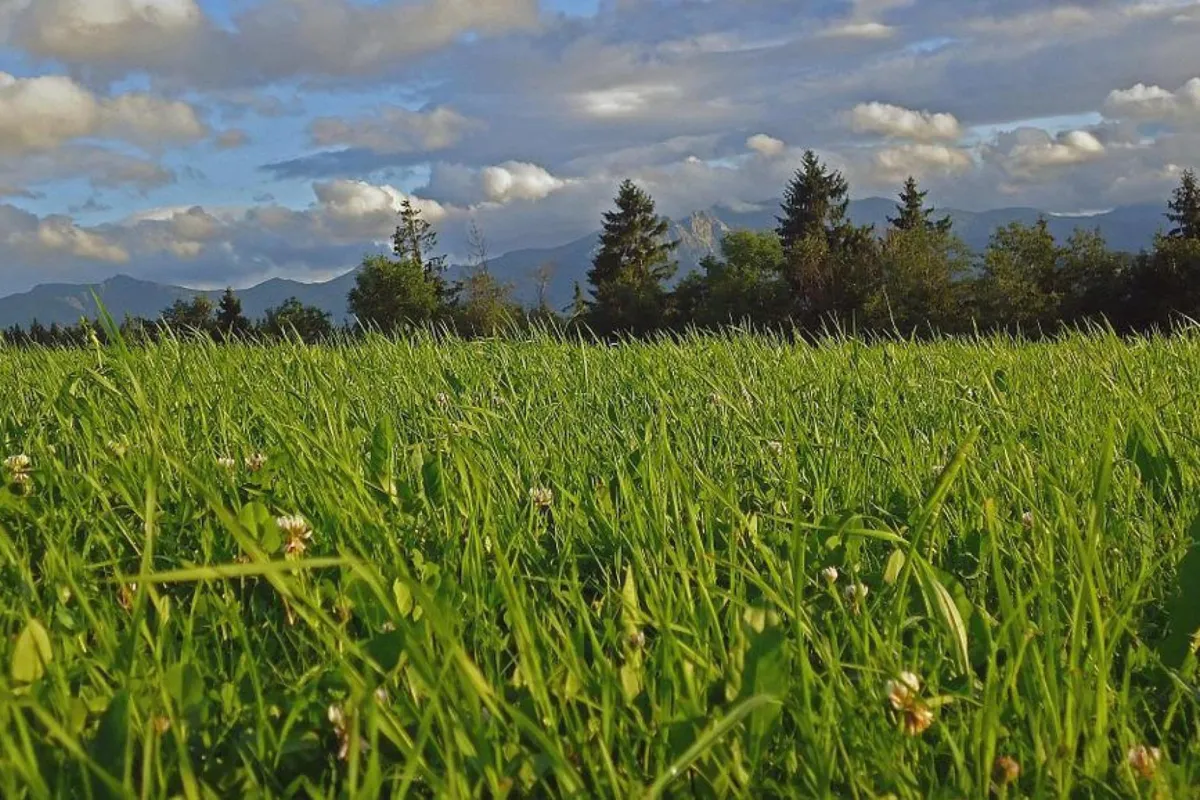 Tatry/ W weekend dynamiczne zmiany pogody; upalnie i burzowo