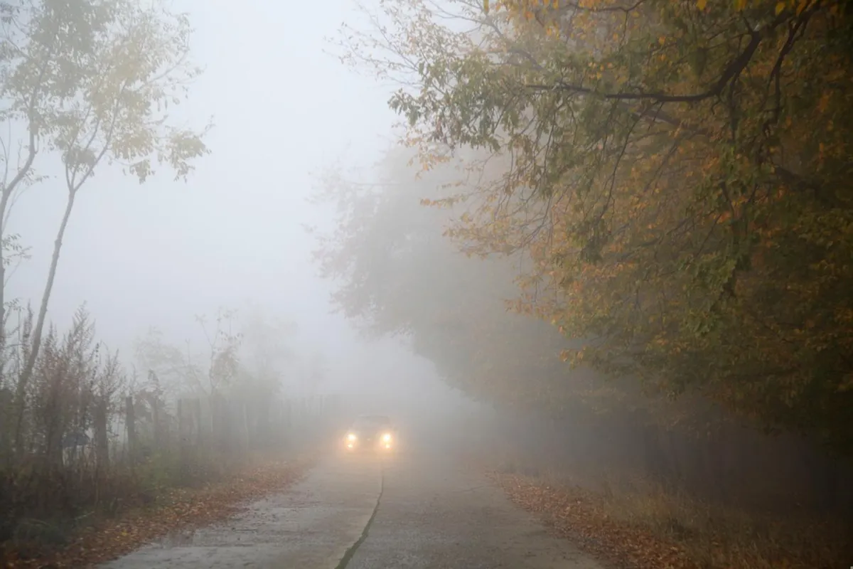 Instytut Meteorologii i Gospodarki Wodnej wydał ostrzeżenia pierwszego stopnia przed gęstymi mgłami