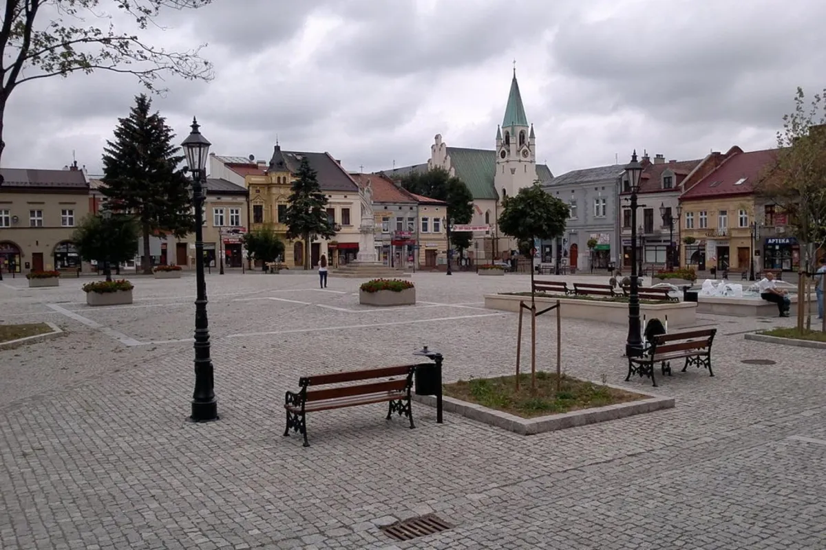 Brzesko poszukuje choinki. Apel do mieszkańców