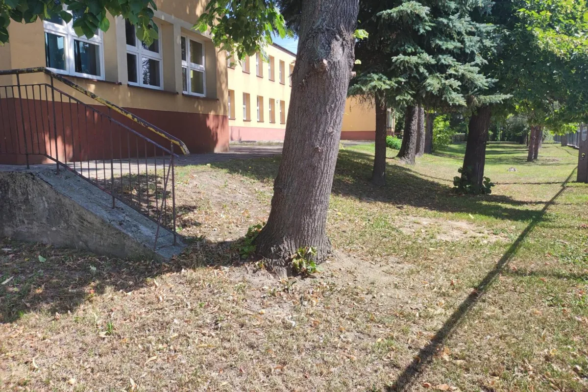 Na terenie tarnowskiego żłobka numer 2 powstanie "Leśna Kraina"