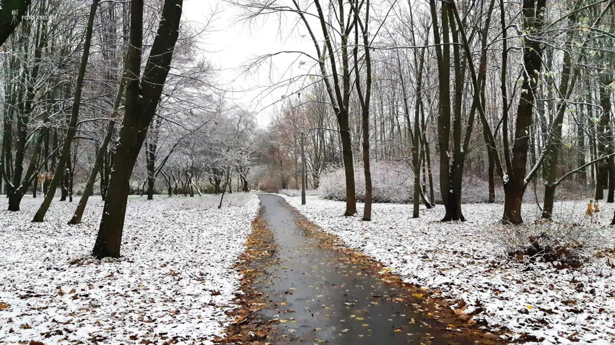 Park Lotników Polskich w Krakowie - dzisiejszy poranek