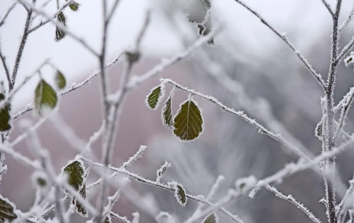 Synoptyk IMGW: w środę opady deszczu i śniegu powodujące gołoledź