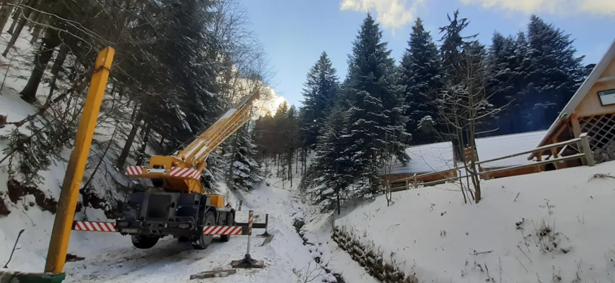 Jodła z Doliny Roztoki stanie przed oknem papieskim