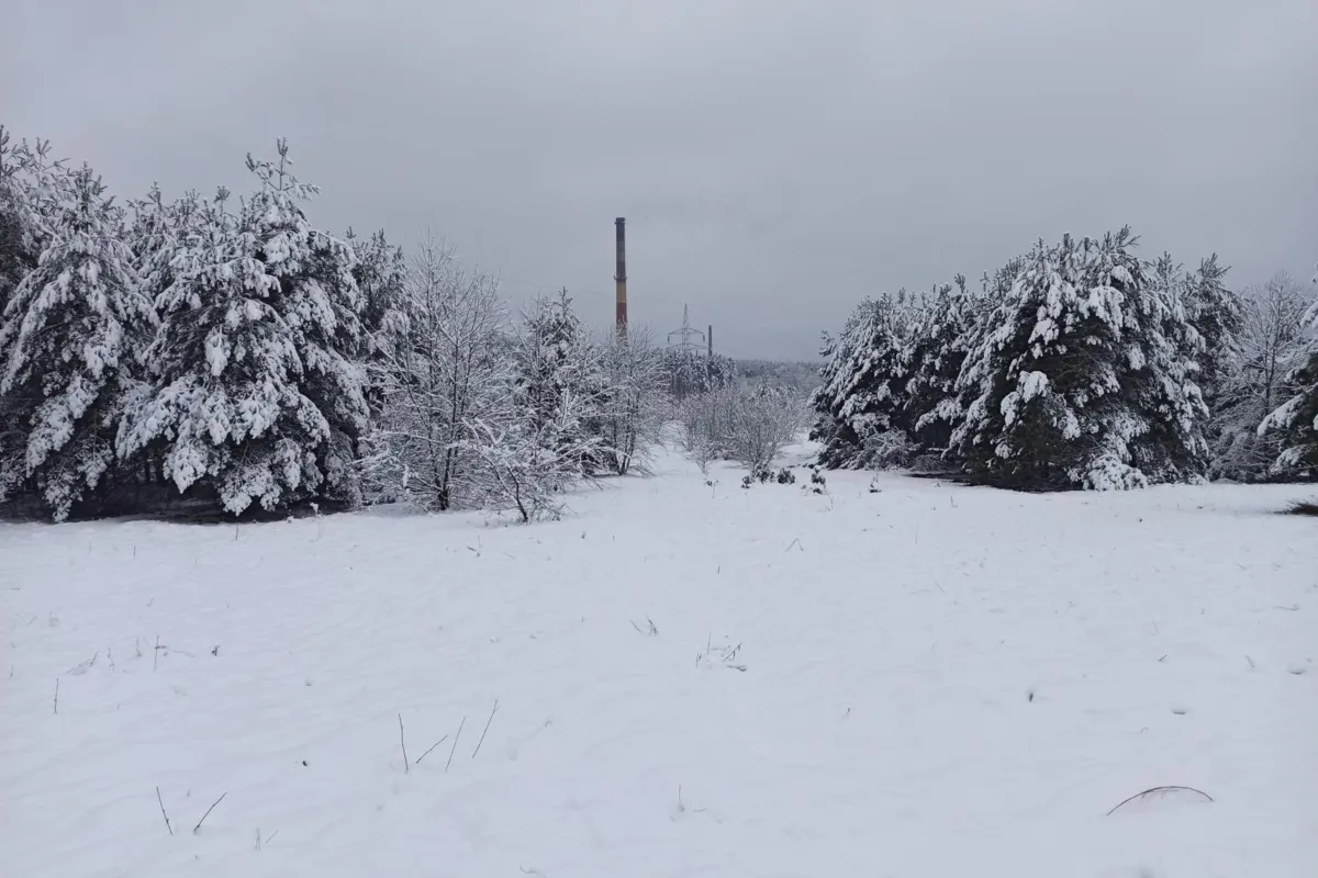 Energetycy przywracają prąd po śnieżycach