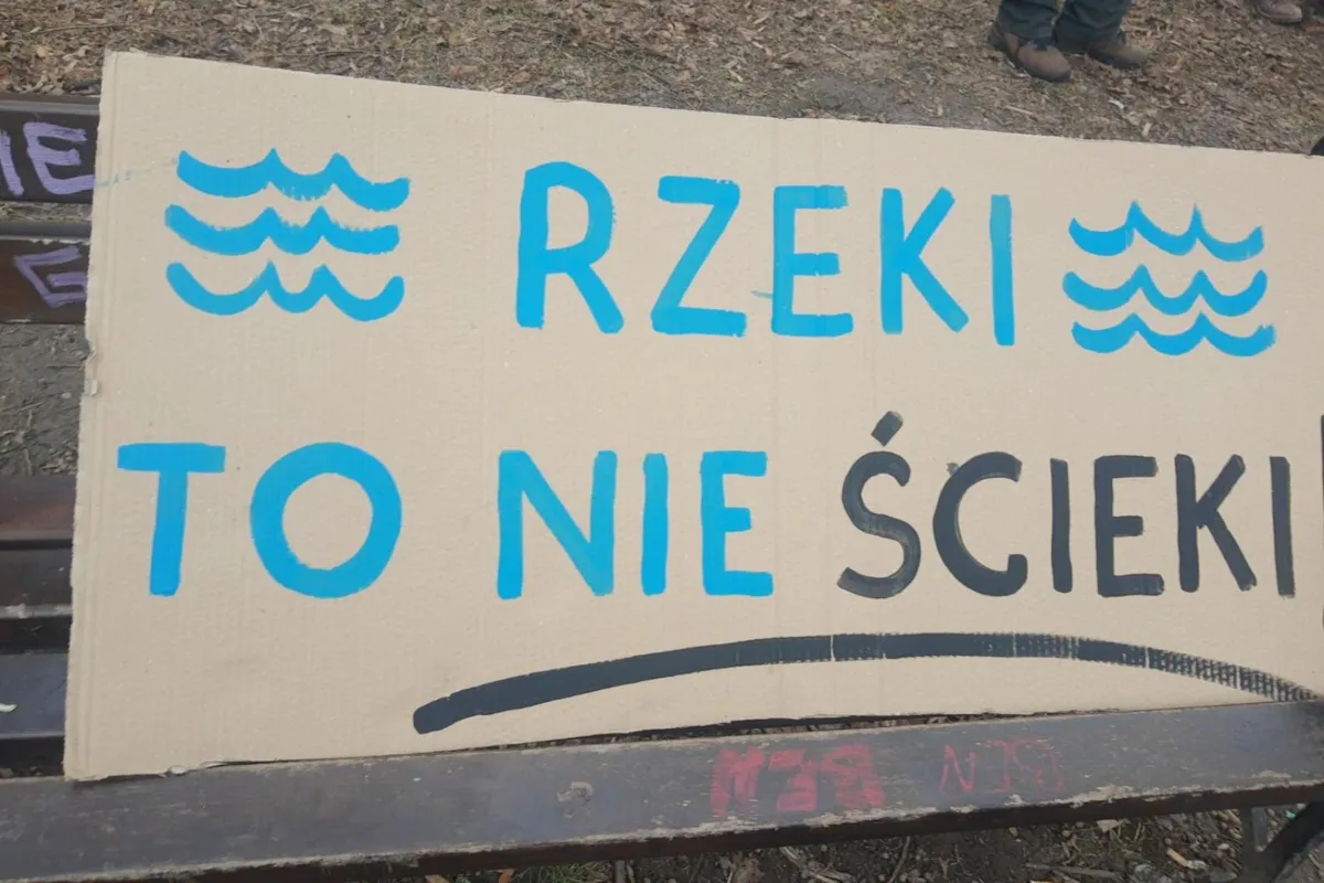 Około 100 rur ściekowych i kilkanaście dzikich wysypisk znaleźli aktywiści wzdłuż Prądnika