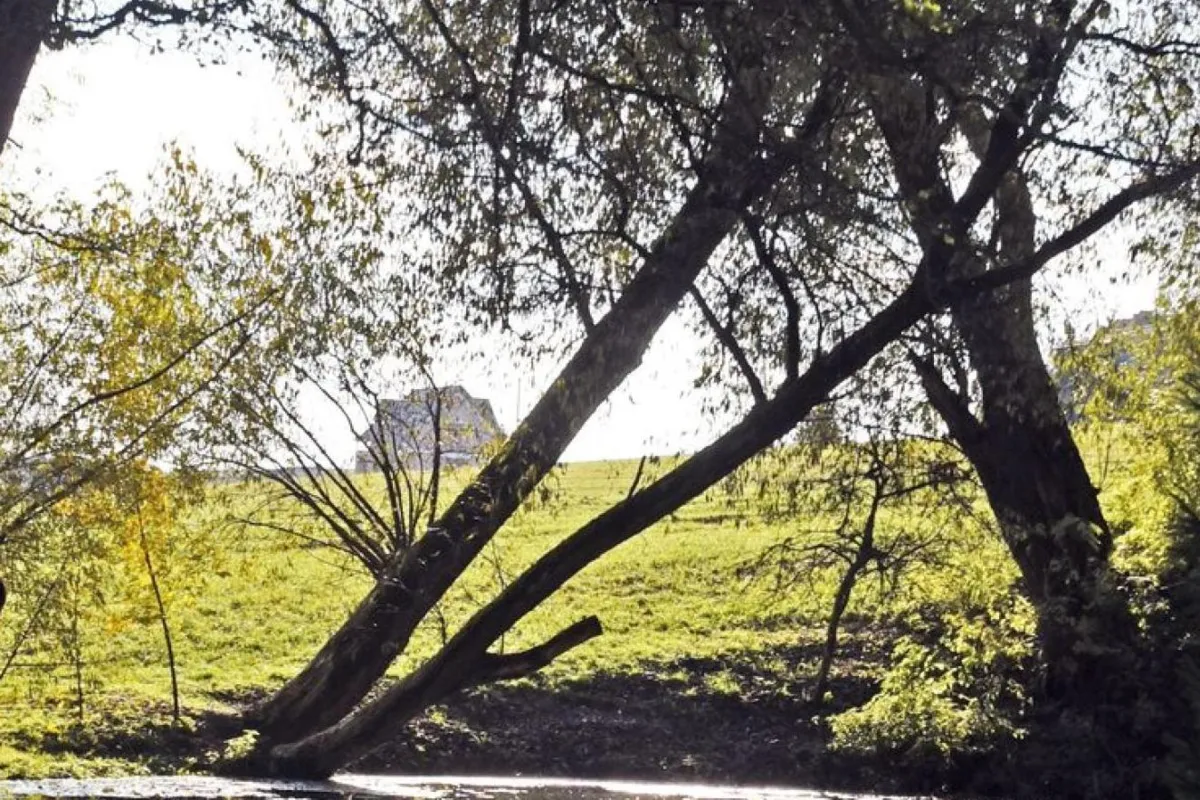 Naukowcy zbadali glebę małopolskich parków krajobrazowych. Wyniki są niepokojące