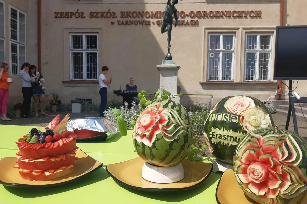 Piknik  z Erazmusem przy szkole w parku Sanguszków