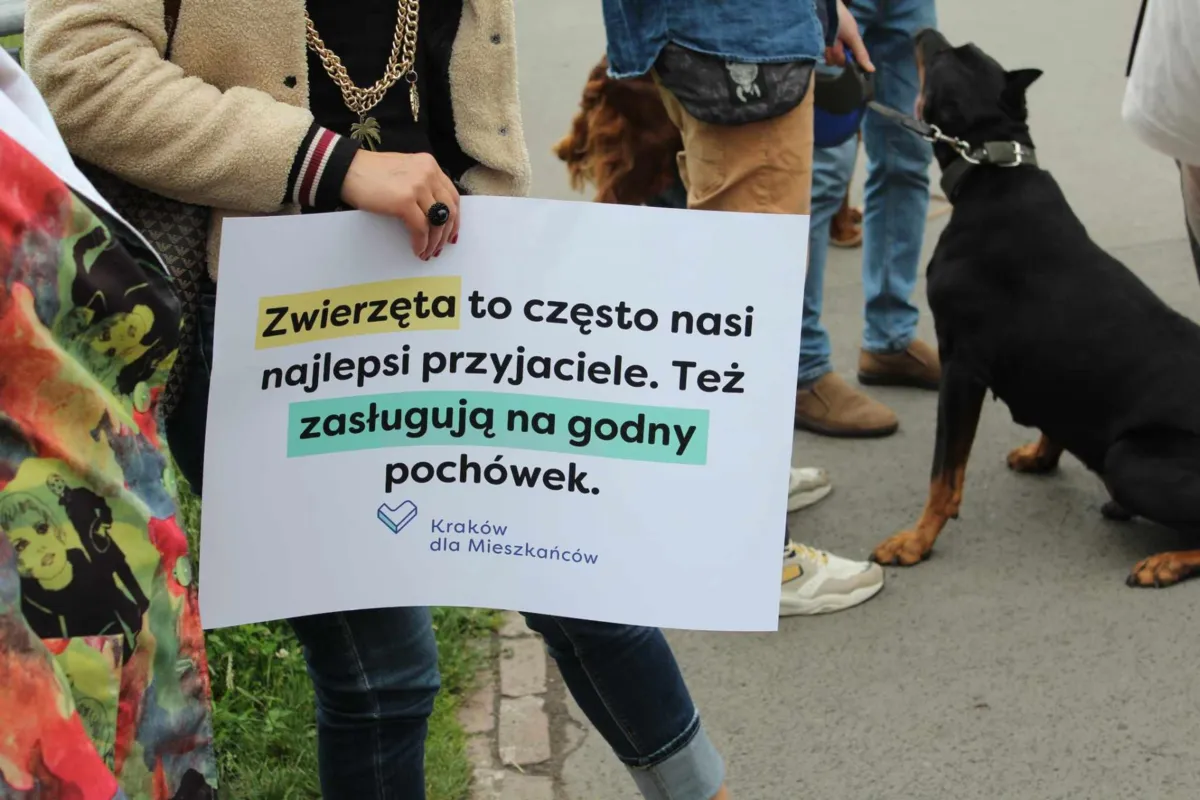 Czy w Krakowie powstanie cmentarz dla zwierząt?