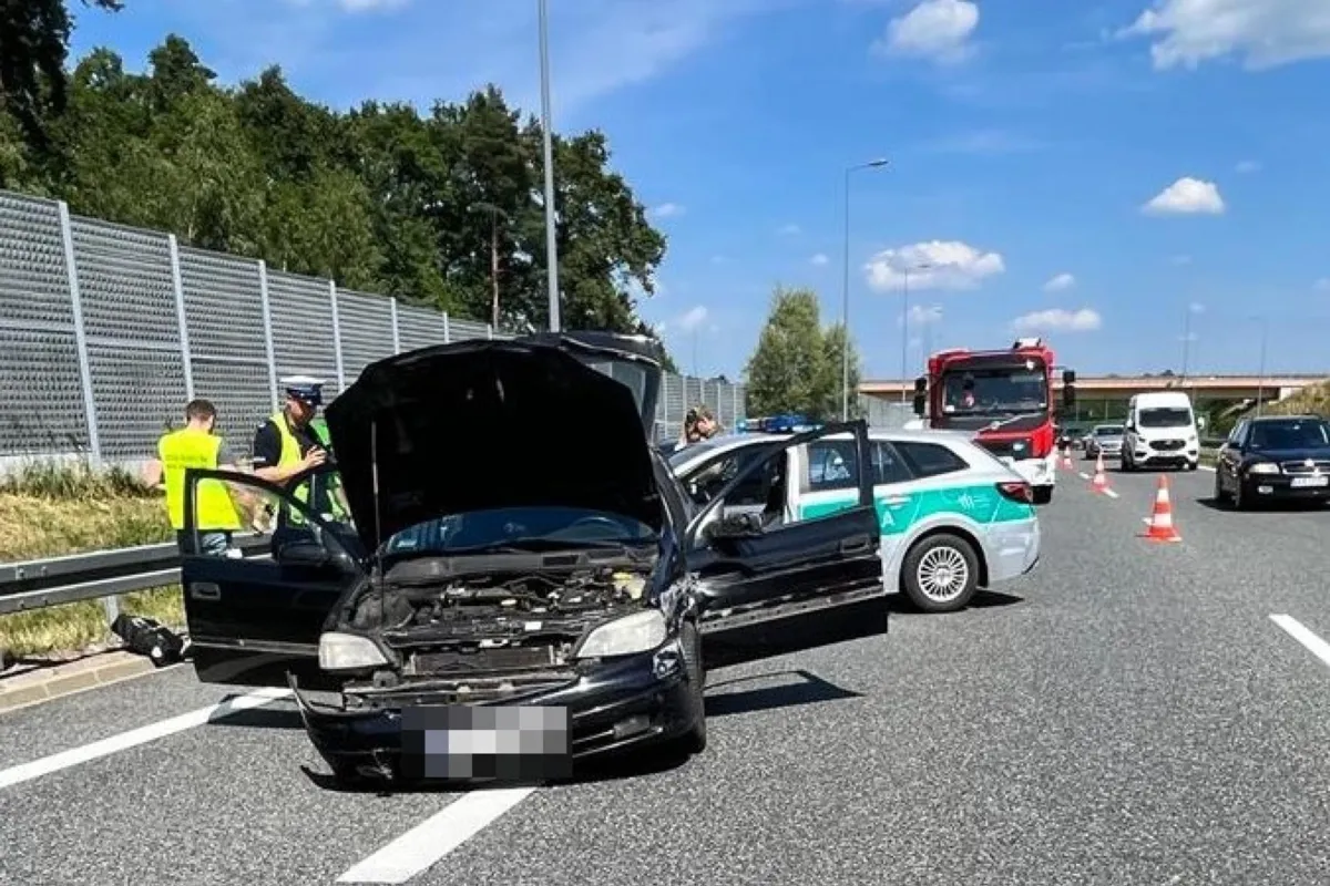 Pościg za nielegalnymi imigrantami w Małopolsce. Gruzin aresztowany