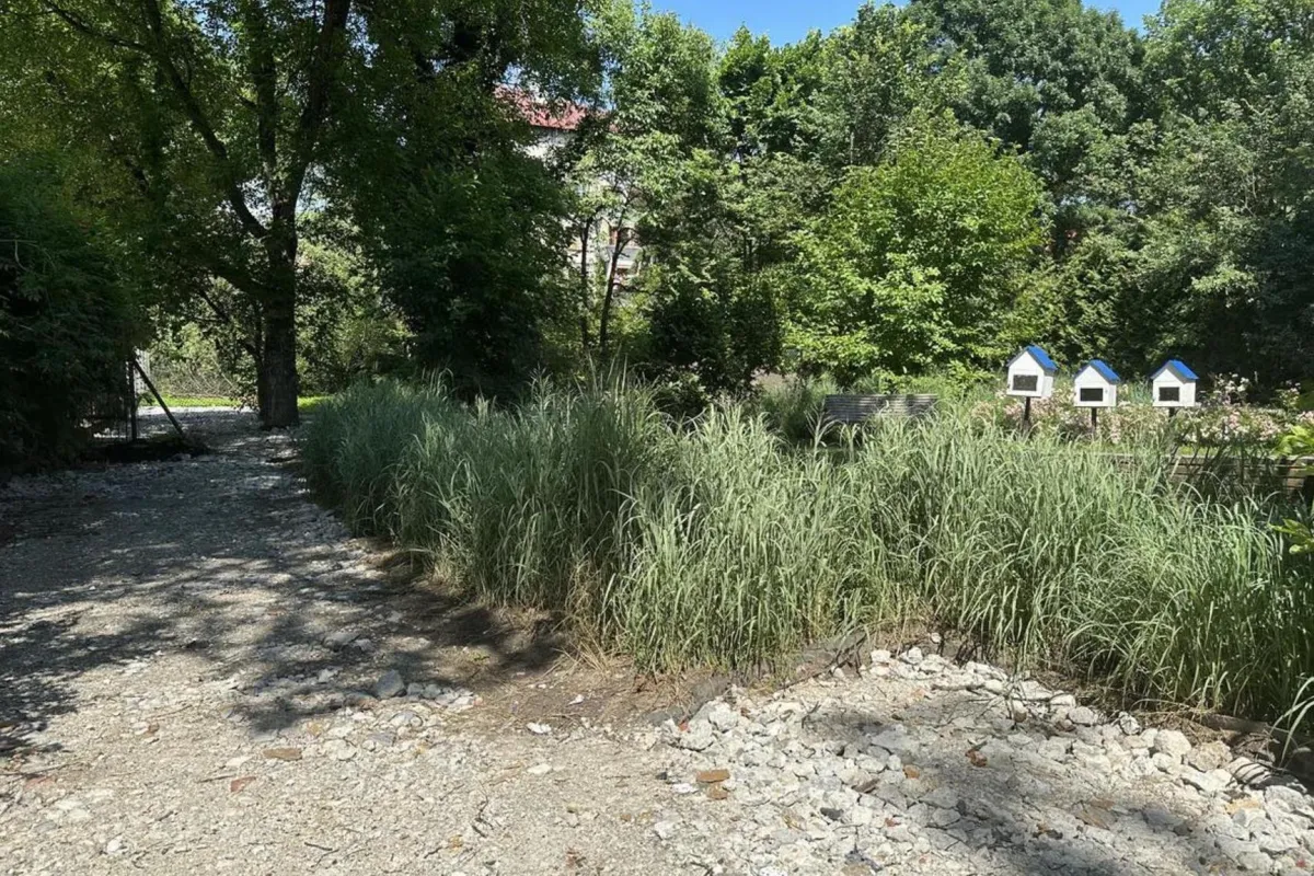 Nielegalne prace w parku Młynówka Królewska. "Wspólna przestrzeń została zasypana gruzem"