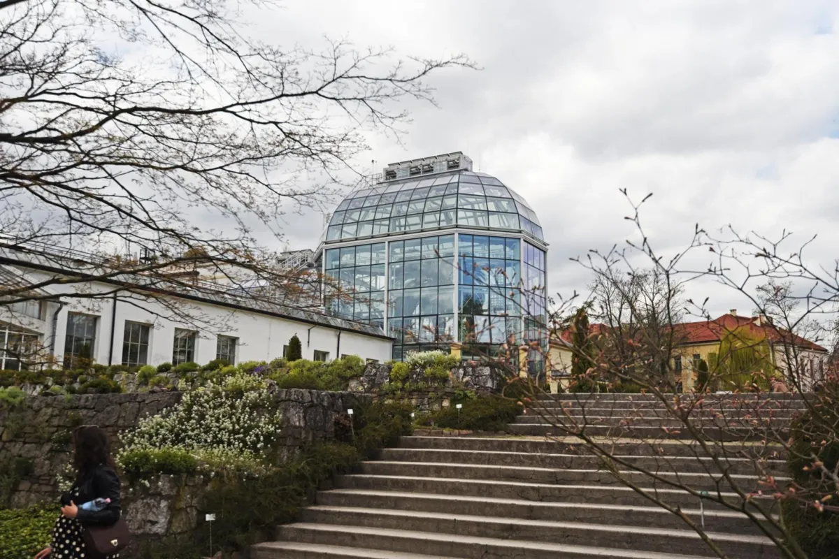 W Ogrodzie Botanicznym UJ powstanie oranżeria z roślinami tropikalnymi