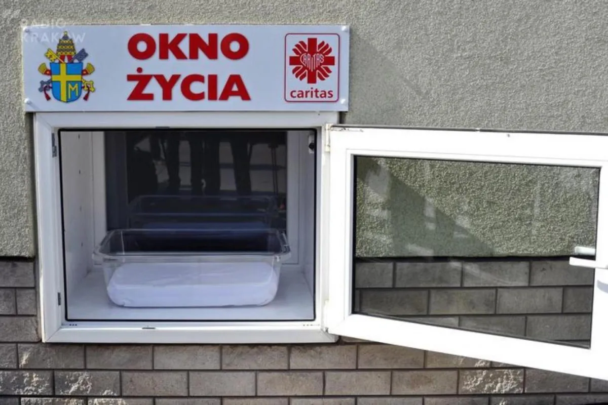 W krakowskim oknie życia zamiast dziecka znaleziono... małe koty