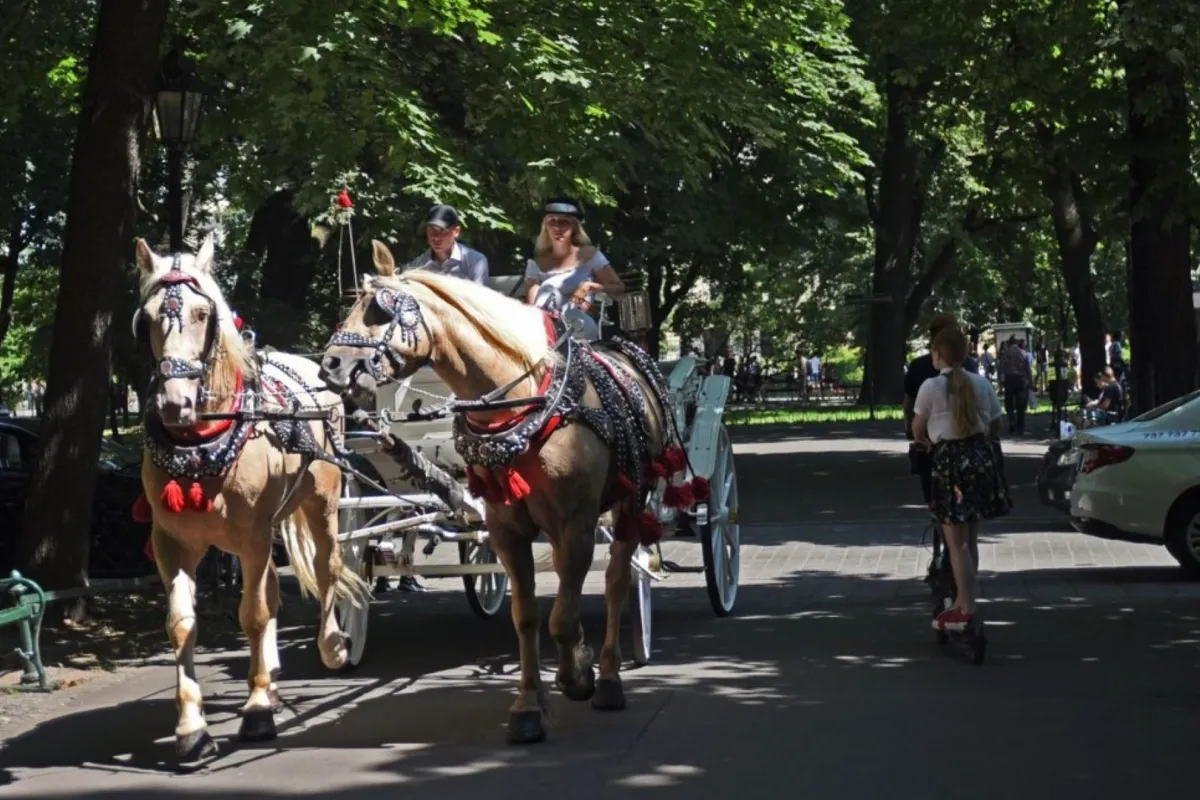  W związku z upałami zamknięty przejazd dorożek przez Rynek w Krakowie