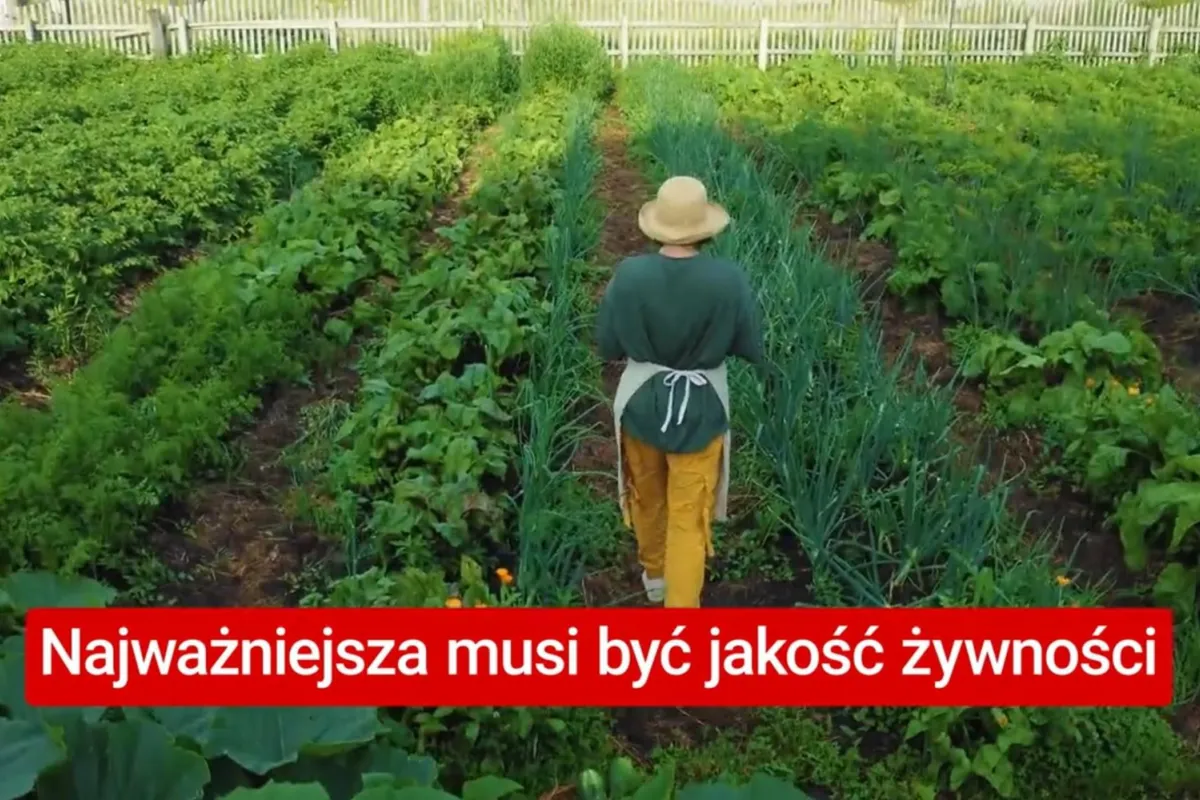 PiS: wzmocnienie lokalnych dostawców trzecim konkretem na kolejną kadencję