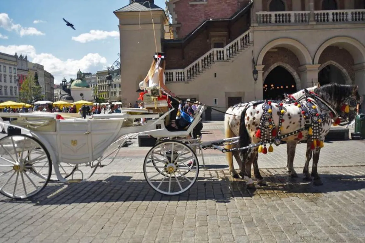 10 lat temu Kraków otrzymał tytuł Miasta Literatury UNESCO