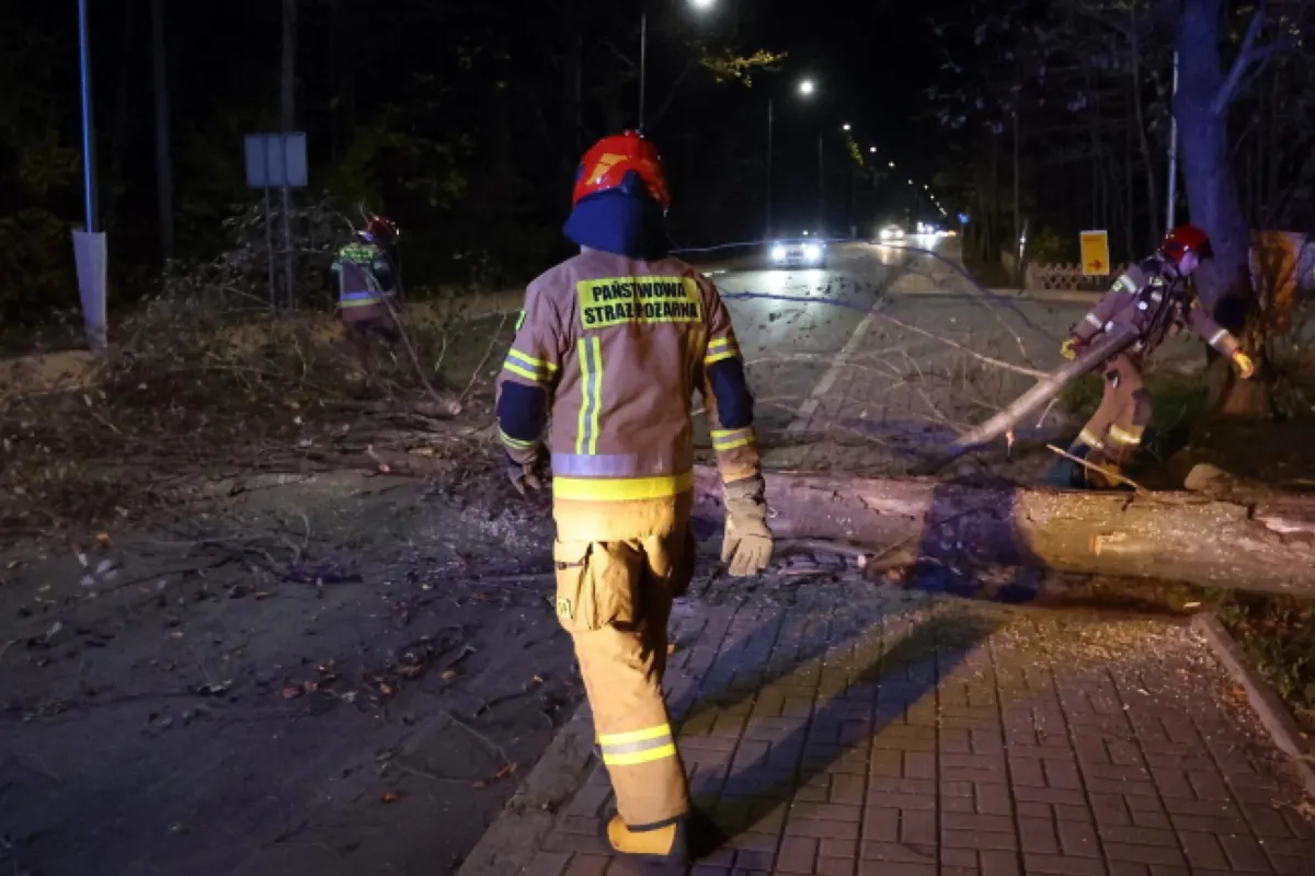 To była wietrzna noc w całej Małopolsce. 73 interwencje strażaków w regionie