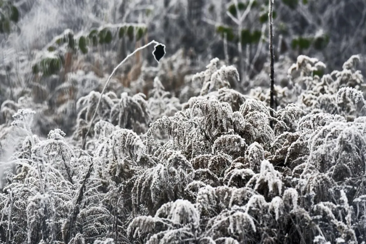 Ostrzeżenie meteorologiczne przed oblodzeniem