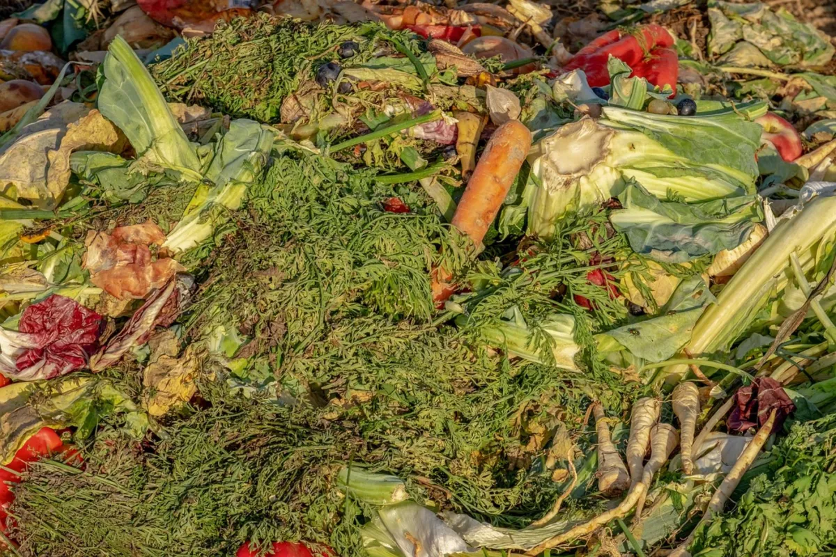 Województwo małopolskie dofinansuje zakup kompostowników dla mieszkańców, aby zwiększyć poziom recyklingu odpadów