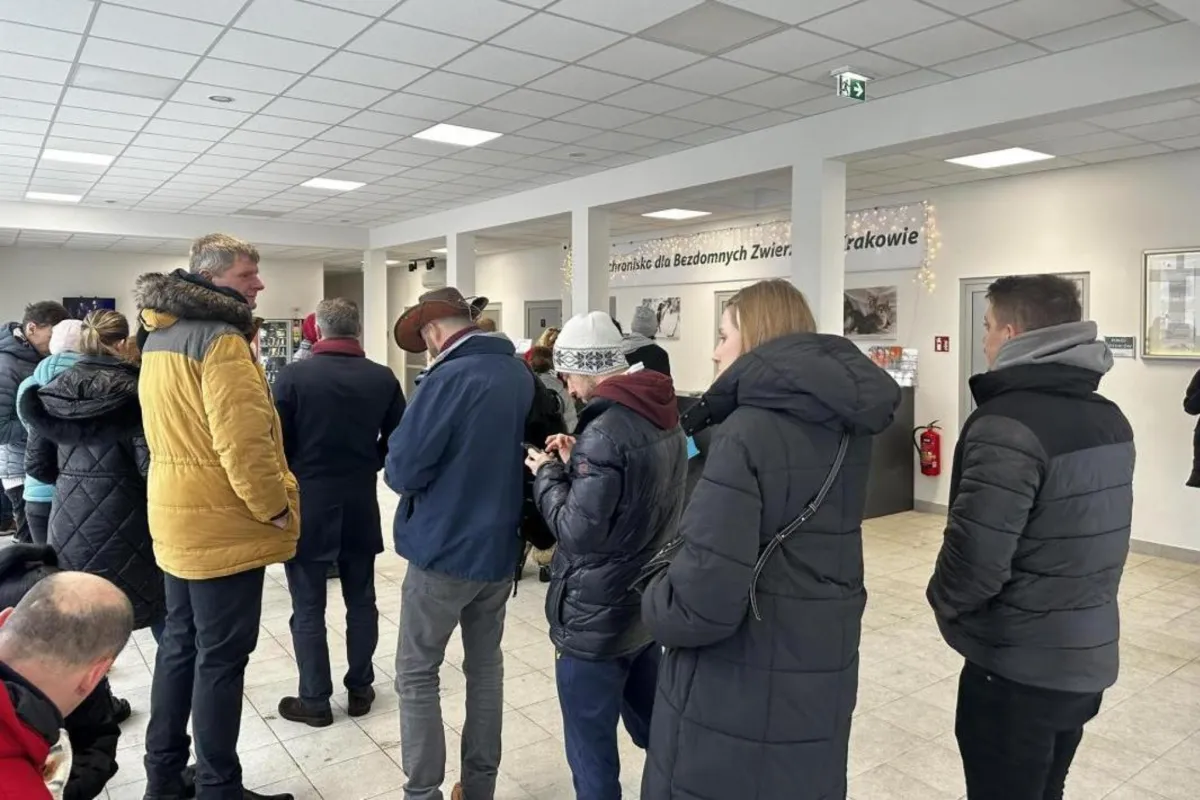 Małopolskie schroniska dla zwierząt podsumowują efekty akcji "Mrozy". Wiele zwierząt znalazło nowe domy