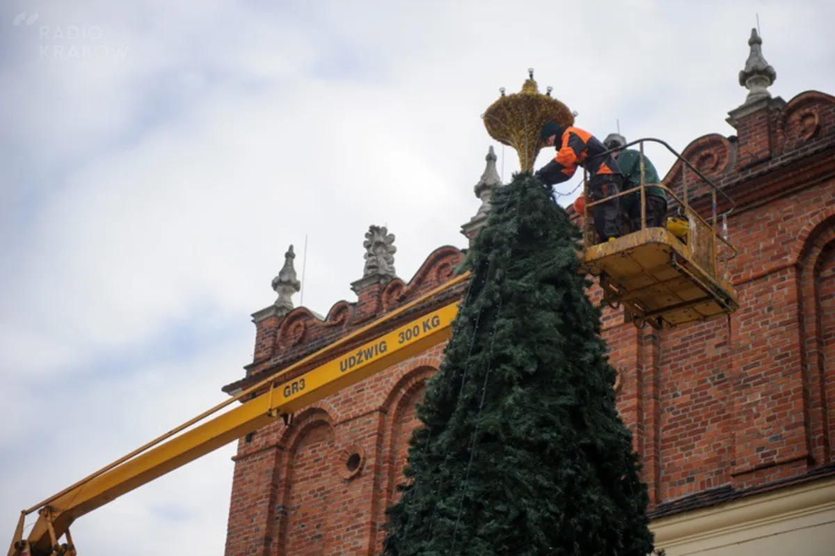 Świąteczna choinka w Tarnowie