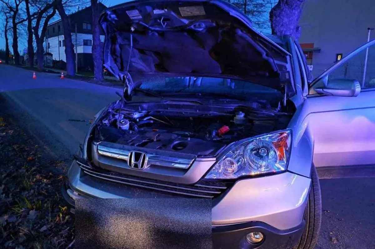 Chciał wyjechać z parkingu, wjechał w drzewo: kierowca miał prawie 3,5 promila alkoholu w organizmie