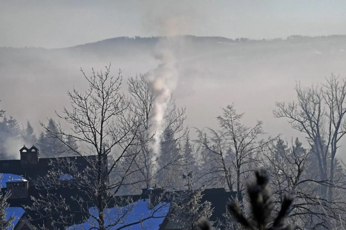 Ekspert: "Polski smog" to nowy, niechlubny produkt regionalny. Jest szczególnie groźny dla układu krążenia