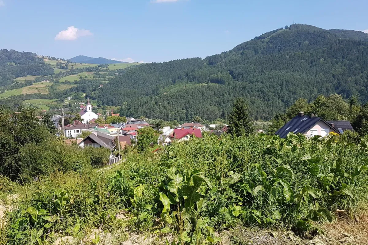 Nawet tysiąc tirów dziennie! W Piwnicznej nie chcą obwodnicy