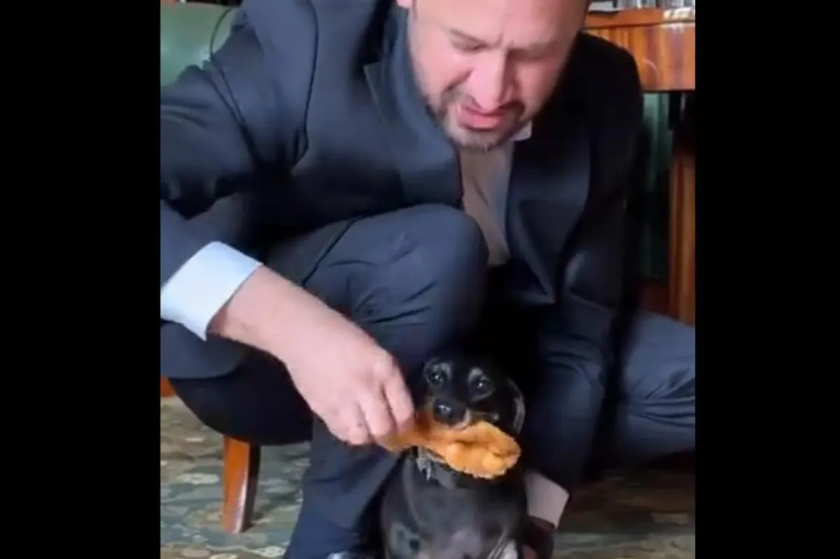 Prezydent Krakowa przyszedł do pracy z jamnikiem. Co się wydarzyło w magistracie?