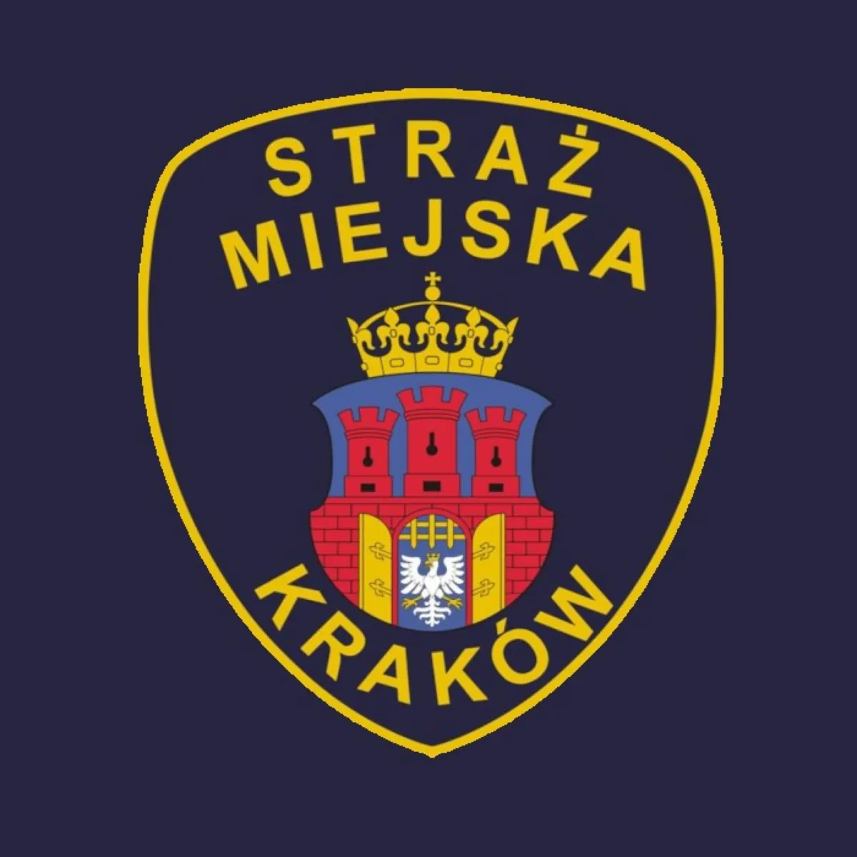 Jakie są kompetencje straży miejskiej, a jakie policji?