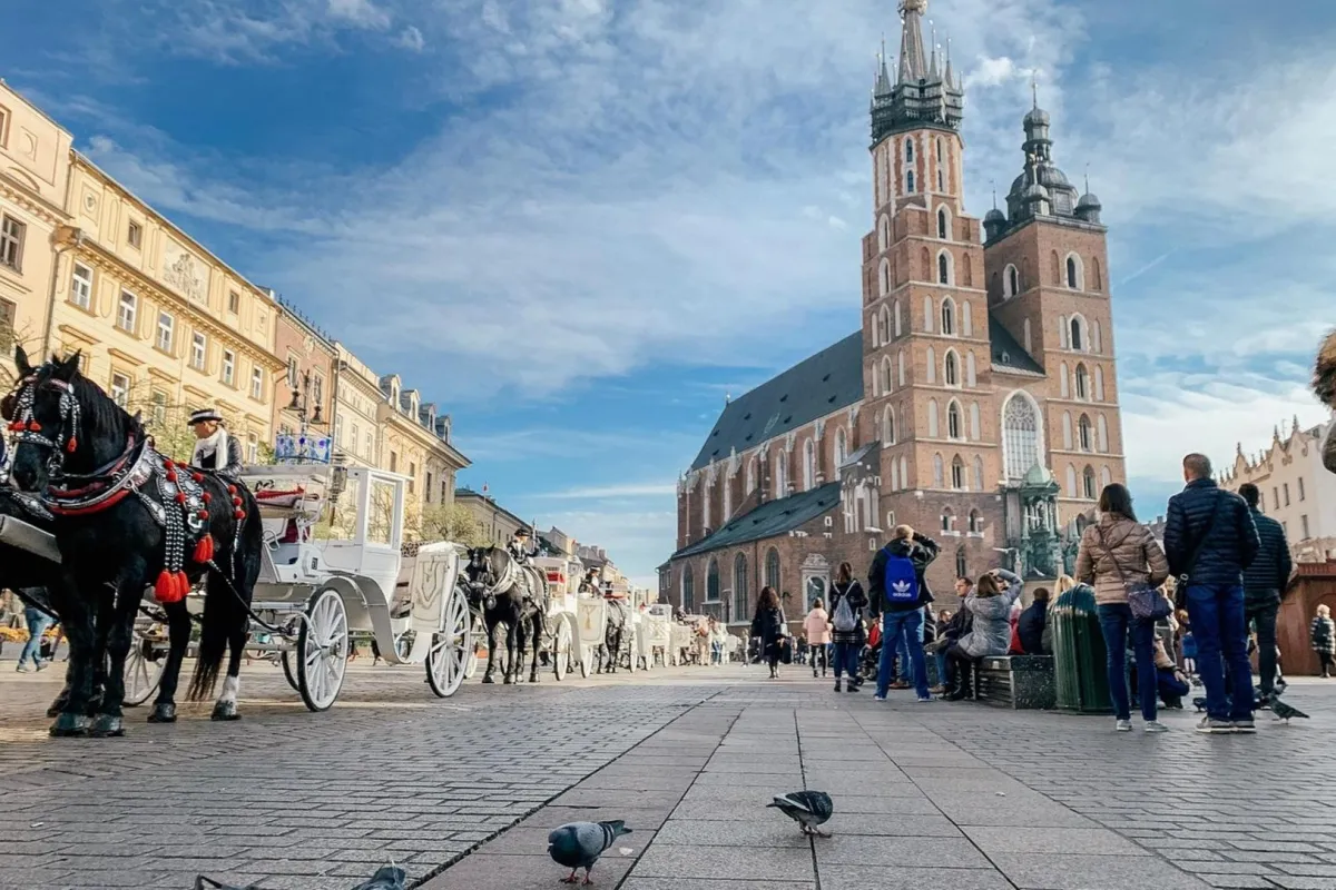 Polityczne podsumowanie roku: Kmita dał twarz przegranej PiS; Miszalski wygrał, ale nie euforycznie